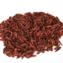 구기자 약초시장 이미지