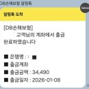 미를붙이다 | (광고X)내돈내산 3살, 4살 강아지 펫보험 6종 비교 후 가입 후기
