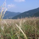 거북약수터 이미지