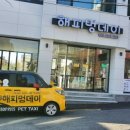 해피 애견 놀이방 이미지