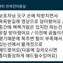 오큐트 이미지
