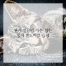 홍제제일약국 이미지