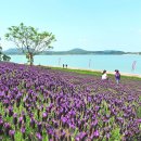 공영주차장 교통섬 이미지