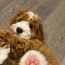 바른약국 이미지