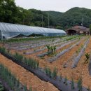 성흠농장 이미지