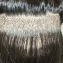 김헤어모드 | 헤어라인 비절개 모발이식 / 내돈내산 2주차 후기