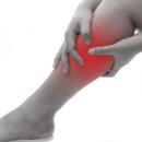 핏플래너P.T 이미지