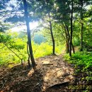 금남면사무소 이미지