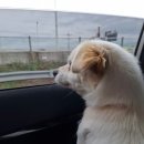 DK빌리지 내 | 25년 하반기 내돈내산 후기