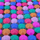 나산초등학교(병설) 이미지