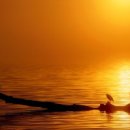 아름다운동행 이미지