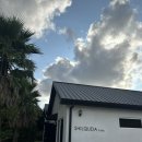 쉴쿠다 | [제주도 숙소 후기] 한경면 에어비앤비 "쉴쿠다“