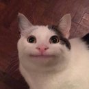 청솔한식뷔페 | [남양주] 청솔한식뷔페, 와부읍 점심 핫플 정성스러운 반찬으로 푸짐한 한끼 친절한사장님