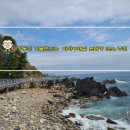 정동심 | 정동진 가볼만한곳 바다부채길 트래킹 코스 추천