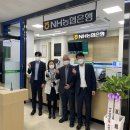 춘천지방법원 미디어인뉴스
