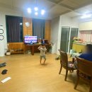 매화골향기 이미지