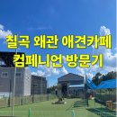 아곡 | 칠곡 왜관 애견카페 컴페니언 후기 수영장 있는 대구 근교 애견카페
