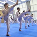 태권이든 이미지