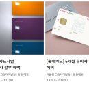 볼빅고양 이미지