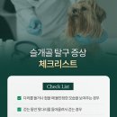 용문동물병원 이미지