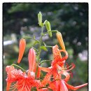 대청주유소 이미지