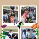 유진농장 이미지