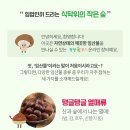 장터푸드 이미지