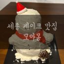 모아몽 | 세종 케이크 맛집 모아몽 크리스마스 케이크