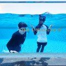 신나는 해피베베 12-18개월 | 풀만 호텔 어반 이스케이프 겨울 온수풀 야외 수영장, 노천탕 요금, 시간, 수영모자 여부 및 이용 후기