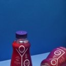 YOLO Entertainment 이미지