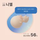 👼🏻 임신 주수일기 | 30주차, 31주차 백일해주사, 출산전 휴가 사용