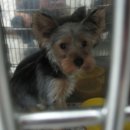 웰케어동물병원 이미지