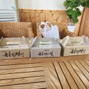 순흥기지떡 영주점 | [영주 맛집] 영주 떡집 추천 순흥기지떡 본점 후기_찾았다! 인생 인절미!