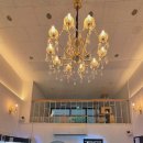 창원고양이분양 퍼스트캣 창원점 이미지