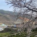 십리벚꽃산장 이미지