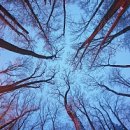 뽀모도로 이미지