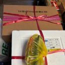 용이동 소로 2-674 | [우정수산] 노량진수산시장 킹크랩 농어 참돔 모듬회 퀵배달 내돈내산 재방문 후기