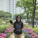 돌곶이역 8번출구 Daum카페