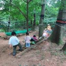 아라숲 | 인천아이숲체험 아라유아숲체험원 후기