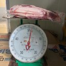 영암군푸드뱅크 이미지