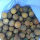 자연과 나 이미지