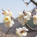 구담마을 이미지