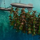 대안농장 이미지