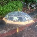 컴포즈커피 부천신중동위브점 이미지