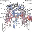 고덕패밀리한의원 이미지