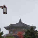 [주말] 힐링악기 우쿨렐레 이미지