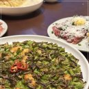 능동적장미 이미지