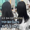문산읍 자연마을 바 | 에이바헤어 파주동패점 매직셋팅 솔직후기ㅣ초롱꽃마을 헤어샵 추천