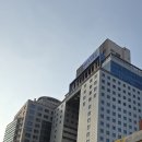 둔산중로134번길 이미지