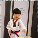 프리미엄 태권마루 태권도장 이미지